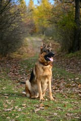 photo-1605725657590-b2cf0d31b1a5