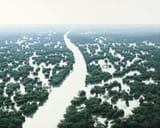 tomas_sanchez_-_inundacion_de_rio_de_aguas_blancas__1998