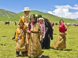 himalayans