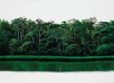 tomas_sanchez_-_orilla__1988