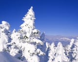 snow