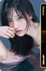 Choerry_303A