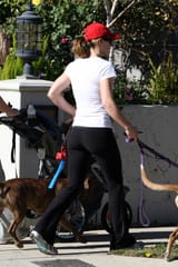 81151_53045-jessica-biel-walking-her-bulldogs-479-122-97_123_631lo