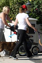 81147_52860-jessica-biel-walking-her-bulldogs-763-122-11_123_488lo