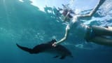 mc_oceana(5)