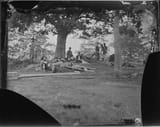 1864 Wounded soldiers under trees, Marye&#039;s Heights, Fredericksburg. After the battle of Spotsylvania, 1864., ca. 1860 - ca. 1865
