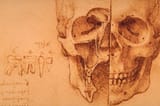 skull da vinci