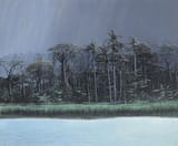 tomas_sanchez_-_aguacero_a_la_orilla__1989