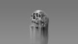 Skull (2)