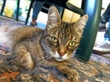 IMG_20250619_111918