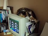 DSC00494