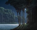 tomas_sanchez_-_luz_de_luna__2024