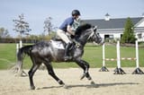 stride