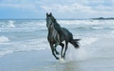 on the beach