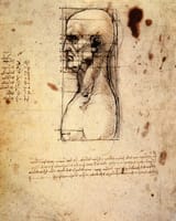 Leonardo_da_vinci,_Male_head_in_profile_with_proportions