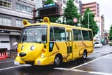 Bear Bus