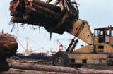 unloading logs