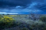 Great_plains_storm_-_Great_Sand_Dunes_National_Park