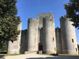 Château_de_Roquetaillade,_façade_ouest