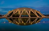 the norfolk scope