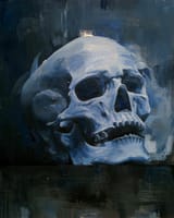 skull study