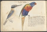 John_Cotton&#039;s_Notebook