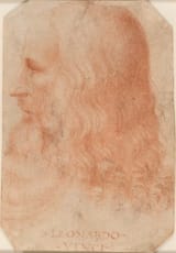 portrait OF leonardo