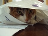 DSC00507