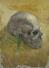van gogh skull art