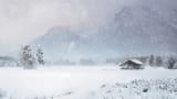 1117016