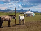 mongolia3