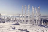 bavarian-forest-4677982