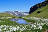 Am_Chüebodensee_bei_Elm