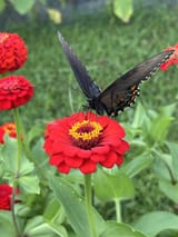 IMG_2510