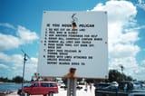 if you hook a pelican