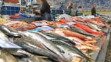 Seafood market
