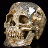 carved coral skull
