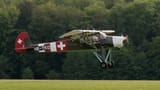 storch