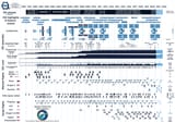 ISS Facts