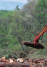 logging activity