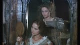 The.Voyage.of.Captain.Fracassa.1990