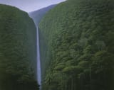 tomas_sanchez_-_cascada_escondida__2000