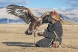 eagle hunter 2
