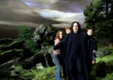 snape the protector