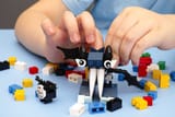 free blocks