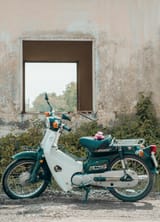honda white and blue