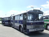Ikarus_180