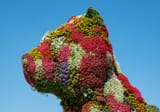 Puppy_de_Jeff_Koons_--_2021_--_Bilbao,_España