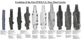 carriers 1