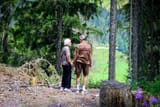 couple by trees